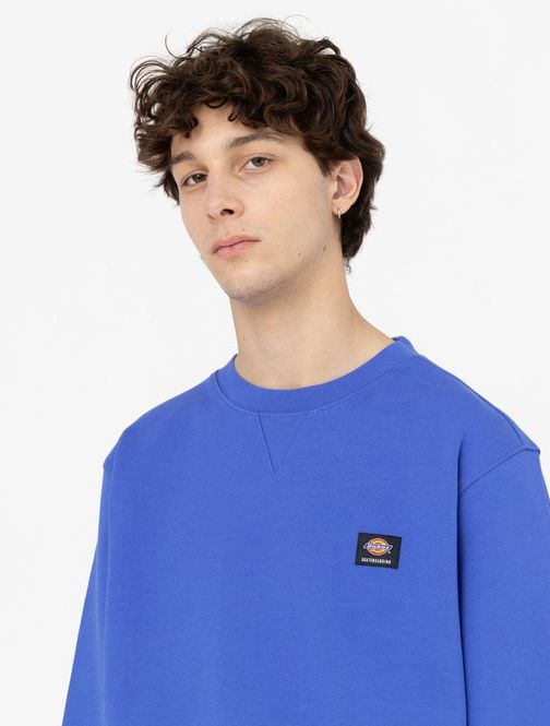 Hovedbilde Dickies Mount Vista Sweatshirt Satin Sky