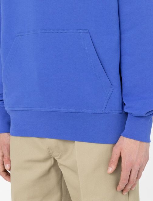 Hovedbilde Dickies Skateboarding Mount Vista Hoodie Satin ...