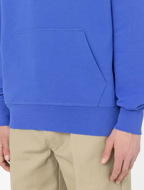 Hovedbilde Dickies Skateboarding Mount Vista Hoodie Satin ...