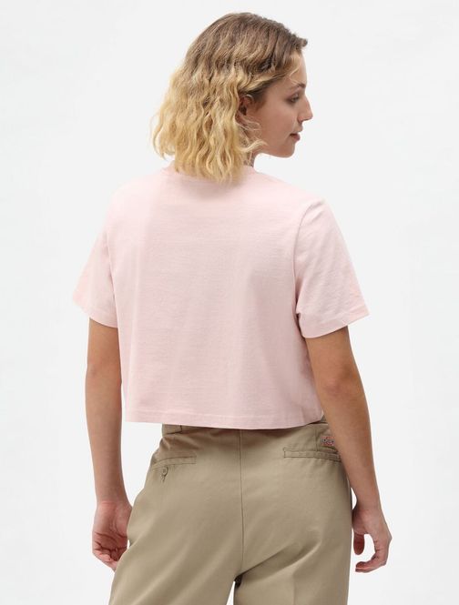 Hovedbilde Dickies Ss Porterdale Crop T-shirt W Light Pink