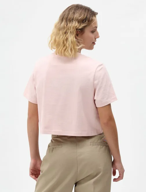 Hovedbilde Dickies Ss Porterdale Crop T-shirt W Light Pink