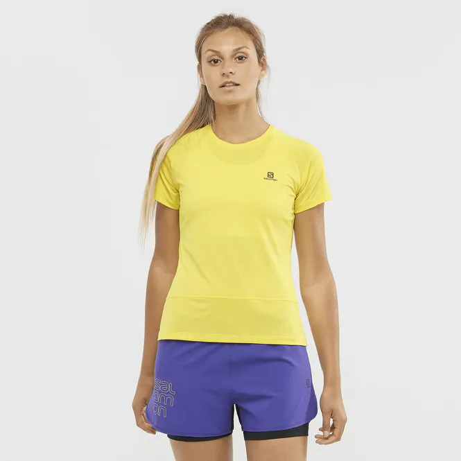 Hovedbilde Salomon Cross Run Ss Tee W Empire Yellow/Heather